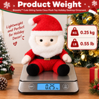 Braveliq™ Sitting Santa Claus Plush Holiday Decor